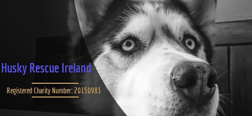 Husky Rescue Ireland